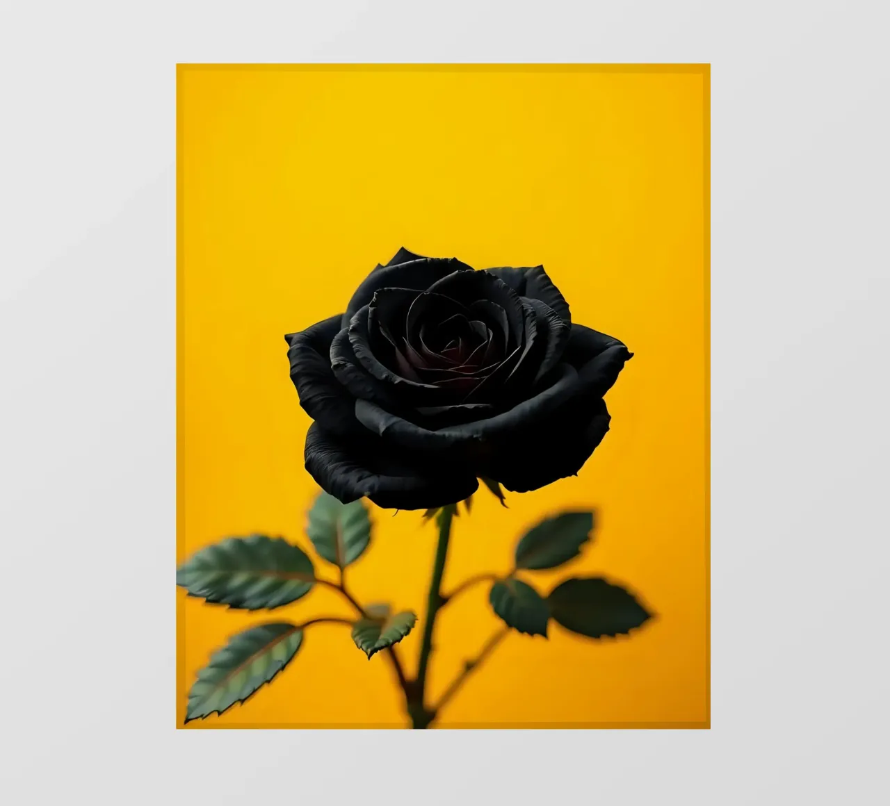 Rosa_nera_04 telo in pvc da Farb- und Blütenzauber by LK