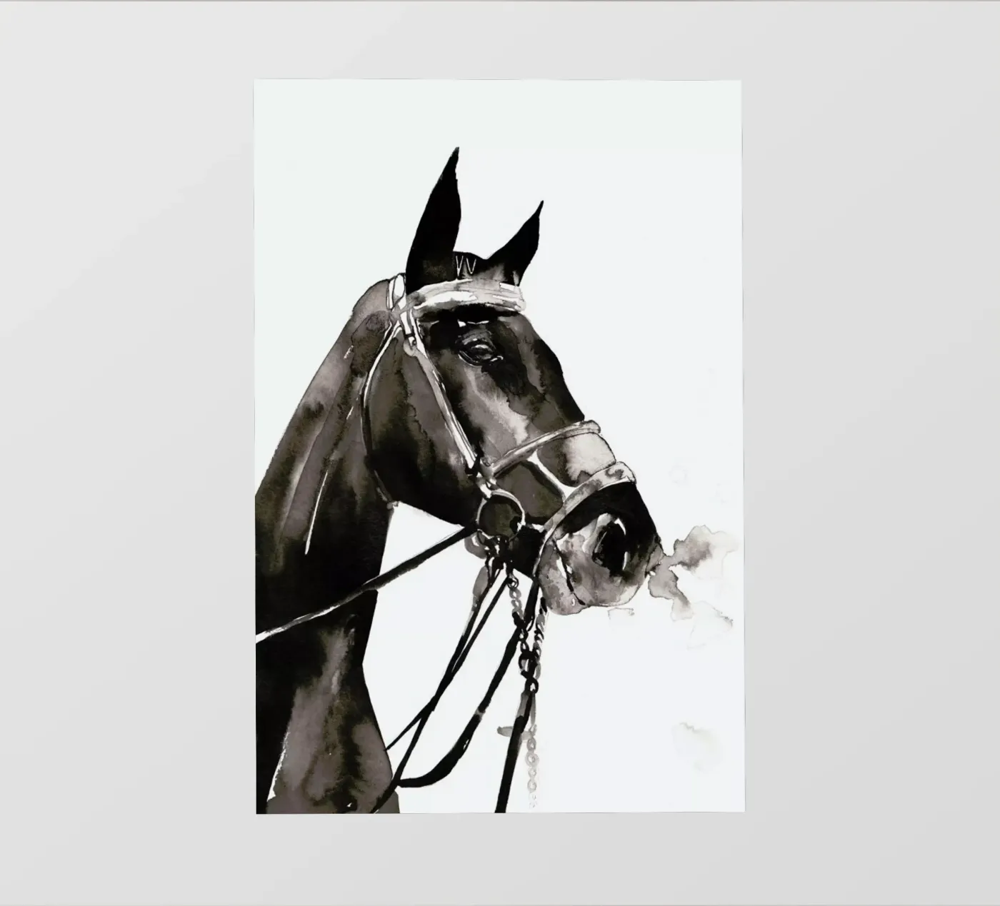 Warrior pellicola backlit da Victoria Verbaan