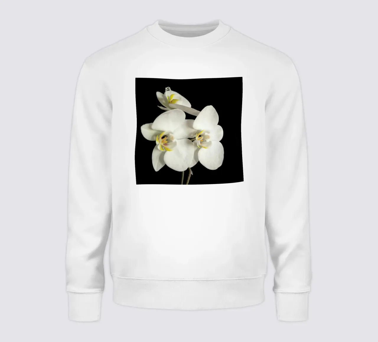 Orchidea bianca e nera II felpa da Cassia Beck Photography