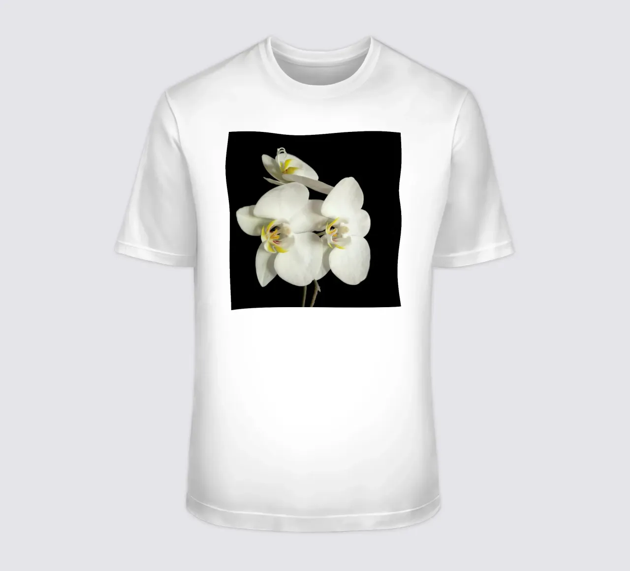 Orchidea bianca e nera II t-shirt da Cassia Beck Photography
