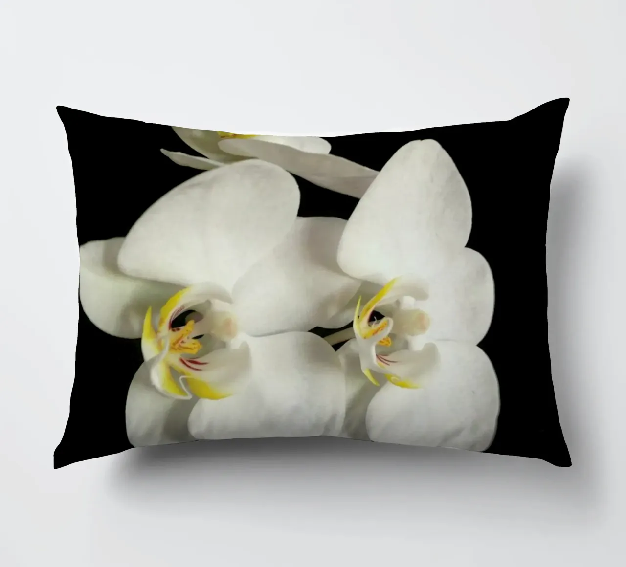 Orchidea bianca e nera II cuscino da Cassia Beck Photography