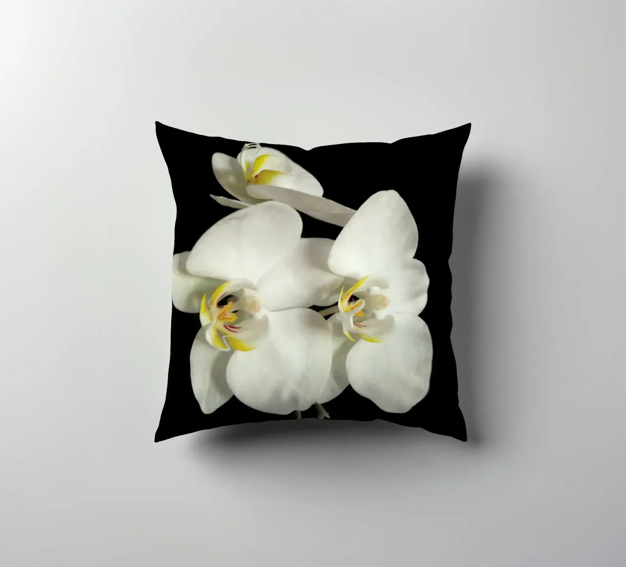 Orchidea bianca e nera II cuscino da Cassia Beck Photography