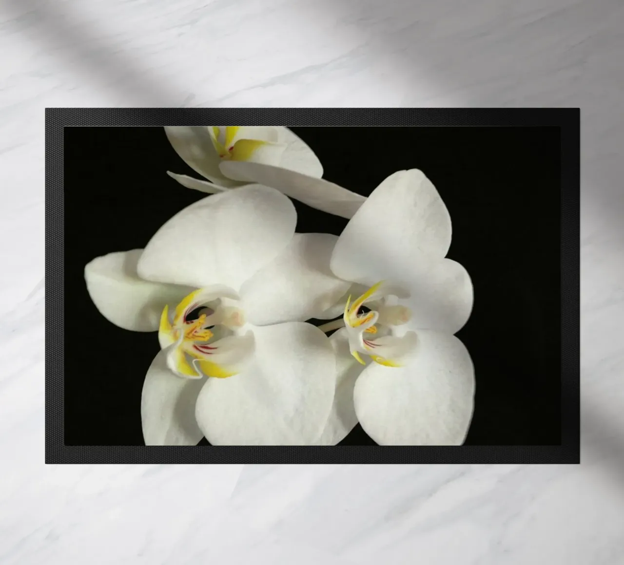 Orchidea bianca e nera II zerbino da Cassia Beck Photography