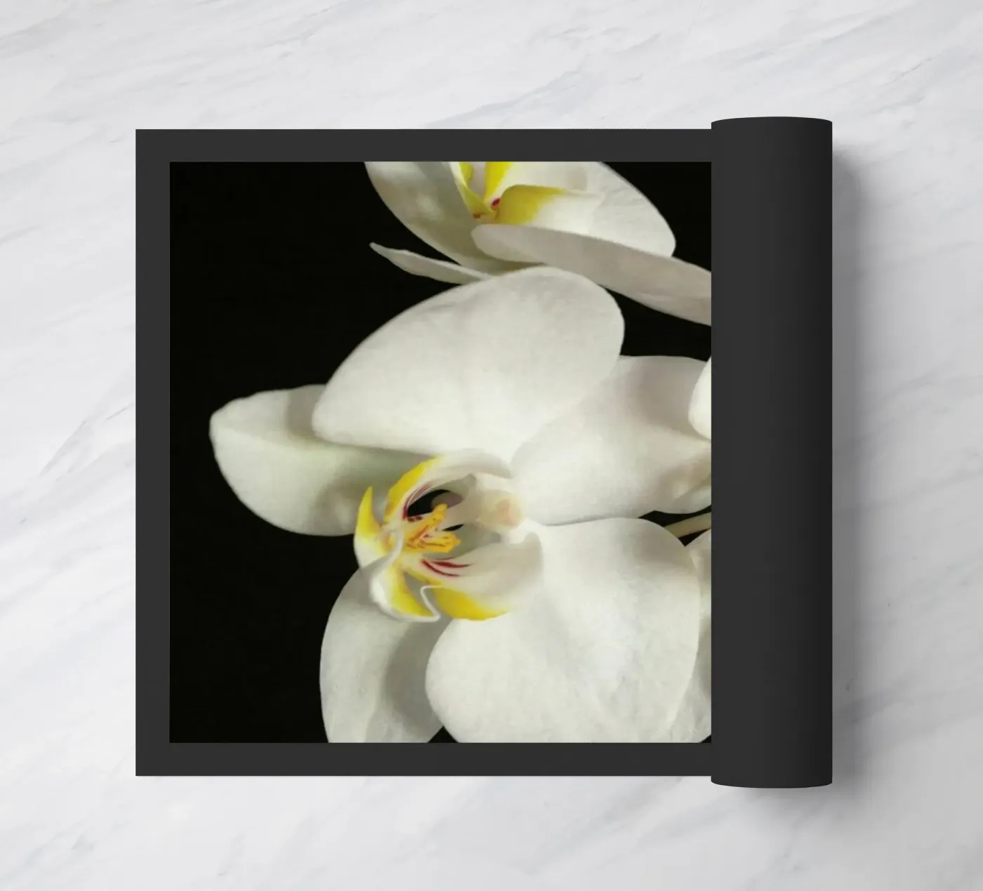 Orchidea bianca e nera II zerbino da Cassia Beck Photography