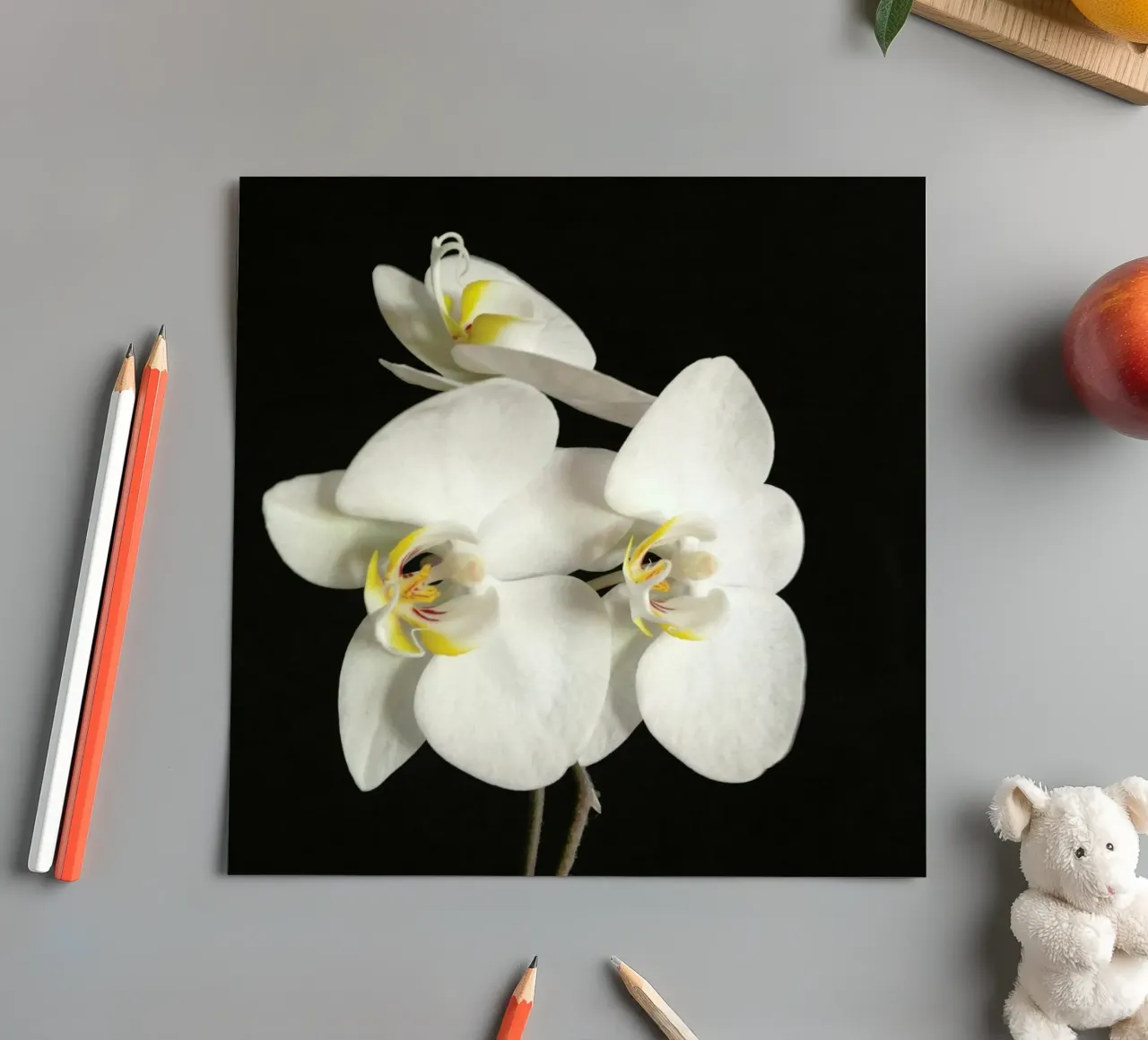 Orchidea bianca e nera II foglio adesivo da Cassia Beck Photography