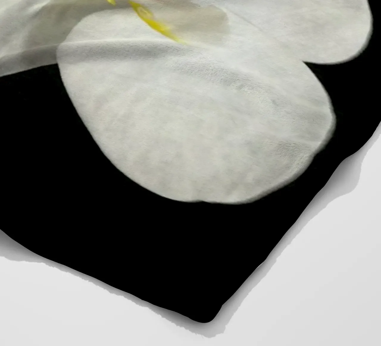 Orchidea bianca e nera II coperta in pile da Cassia Beck Photography