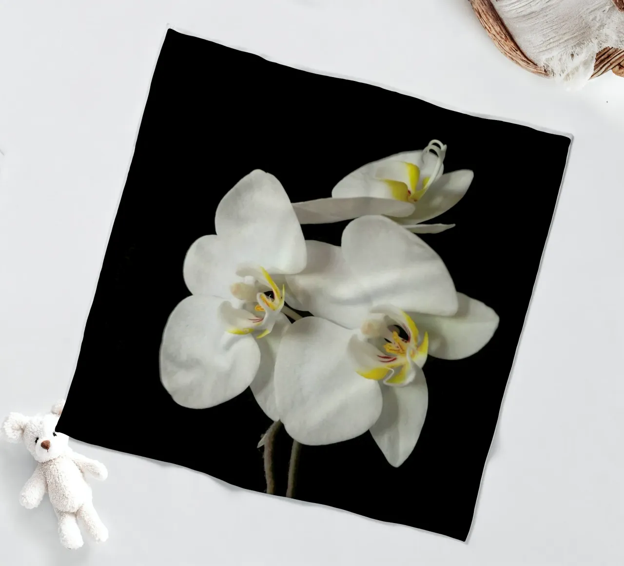 Orchidea bianca e nera II coperta in pile da Cassia Beck Photography