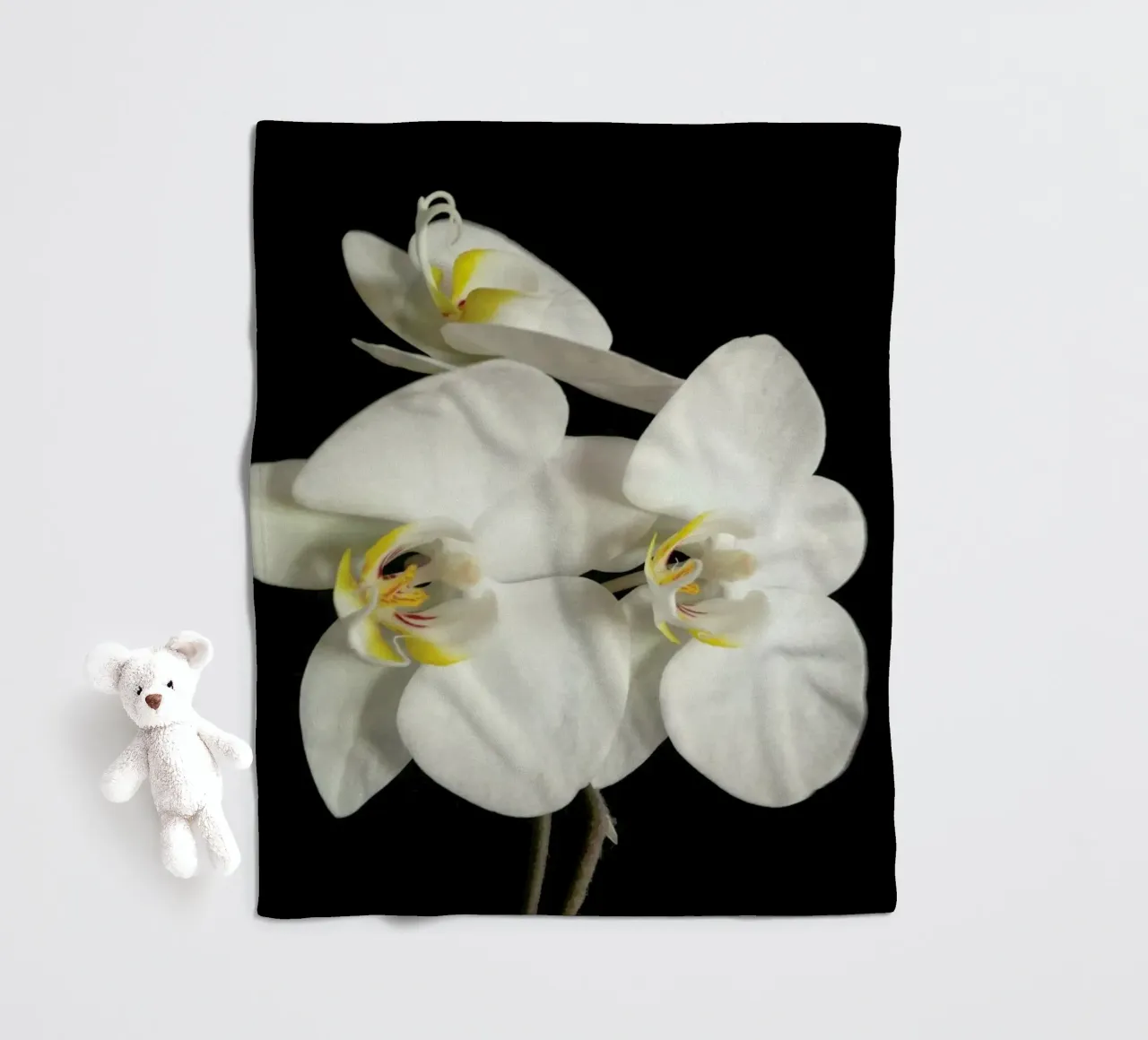 Orchidea bianca e nera II coperta in pile da Cassia Beck Photography