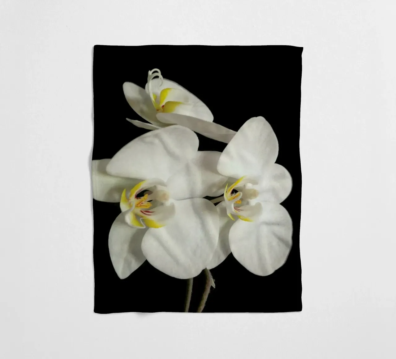 Orchidea bianca e nera II coperta in pile da Cassia Beck Photography