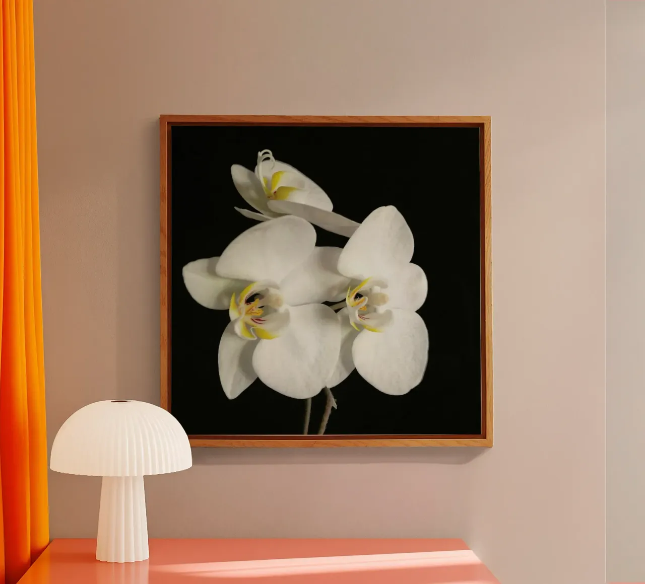 Orchidea bianca e nera II plexiglass da Cassia Beck Photography