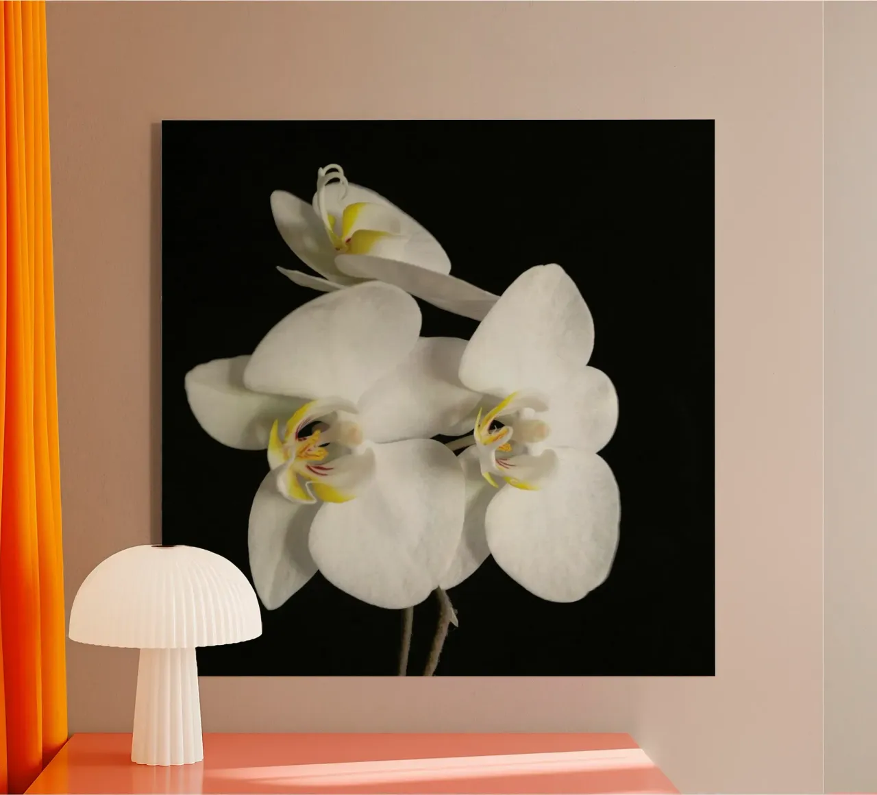 Orchidea bianca e nera II plexiglass da Cassia Beck Photography