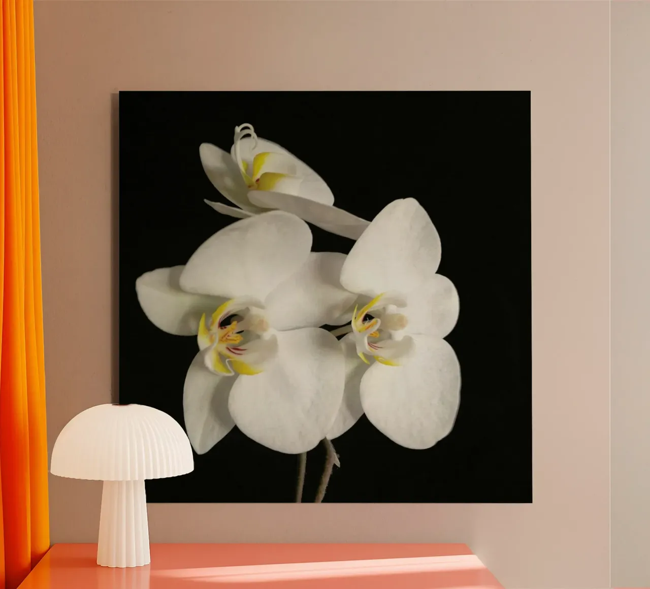 Orchidea bianca e nera II alluminio dibond da Cassia Beck Photography