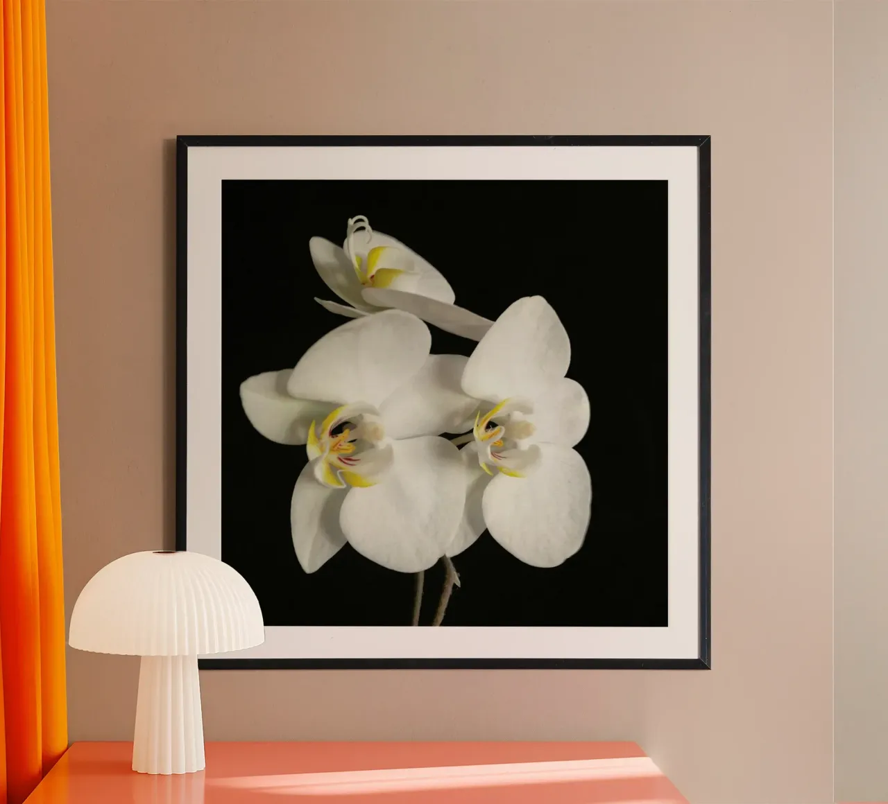 Orchidea bianca e nera II poster da Cassia Beck Photography