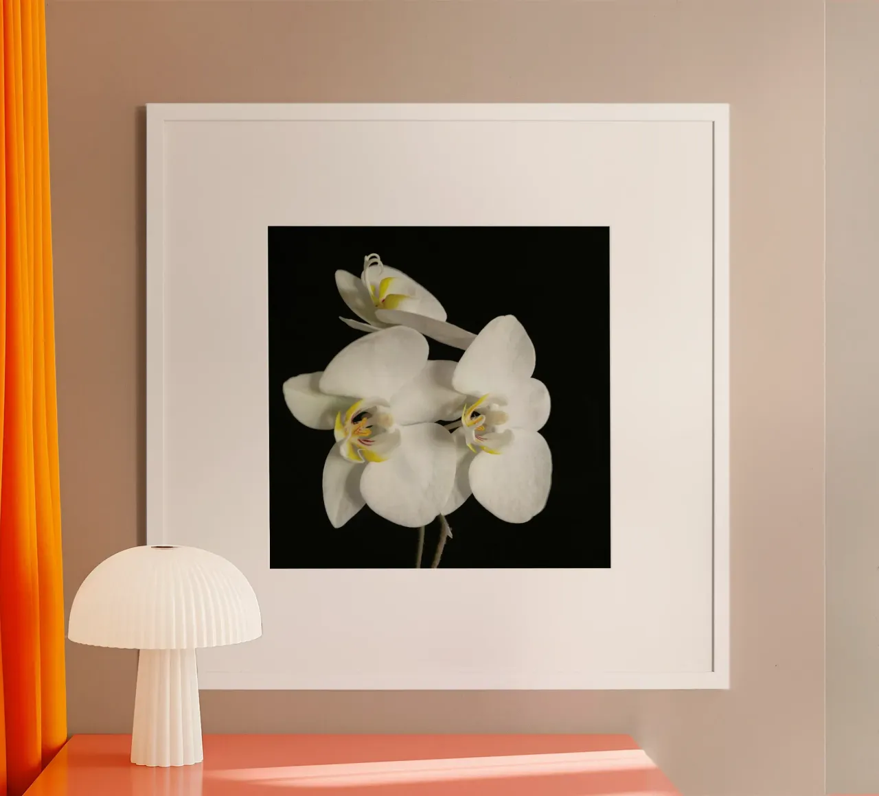Orchidea bianca e nera II poster da Cassia Beck Photography