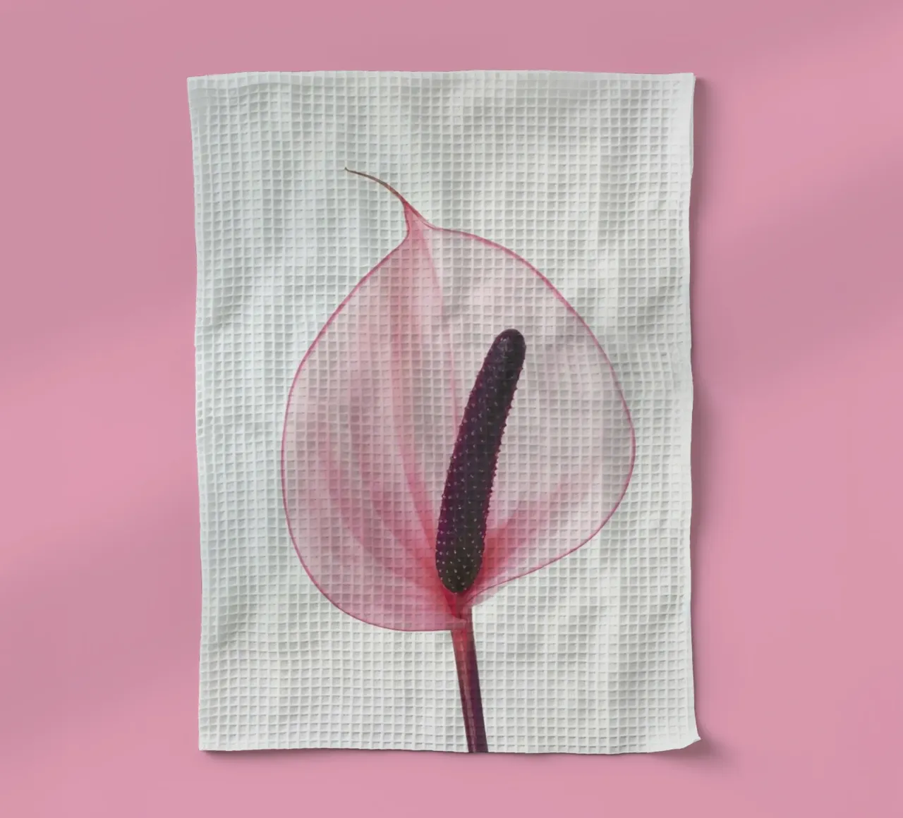 Pink Calla Lily canovaccio da cucina da Cassia Beck Photography