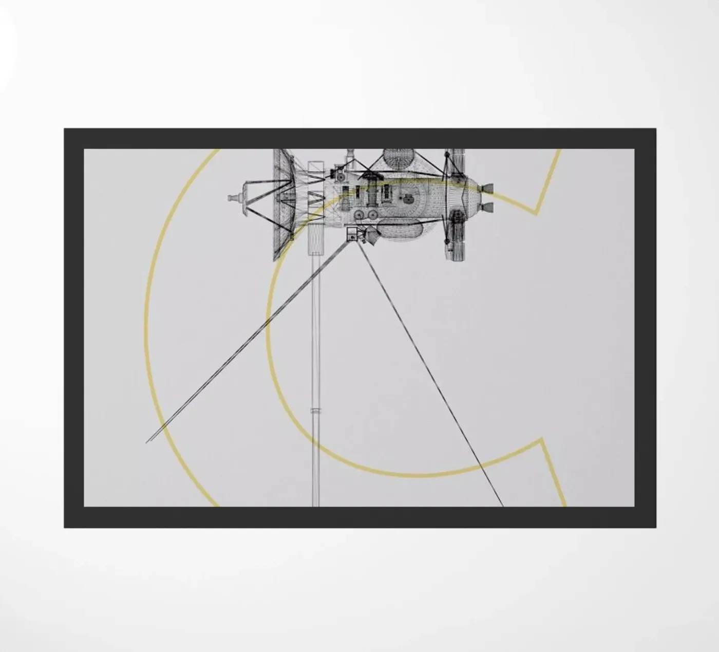 Cassini zerbino da Marc Schulthess