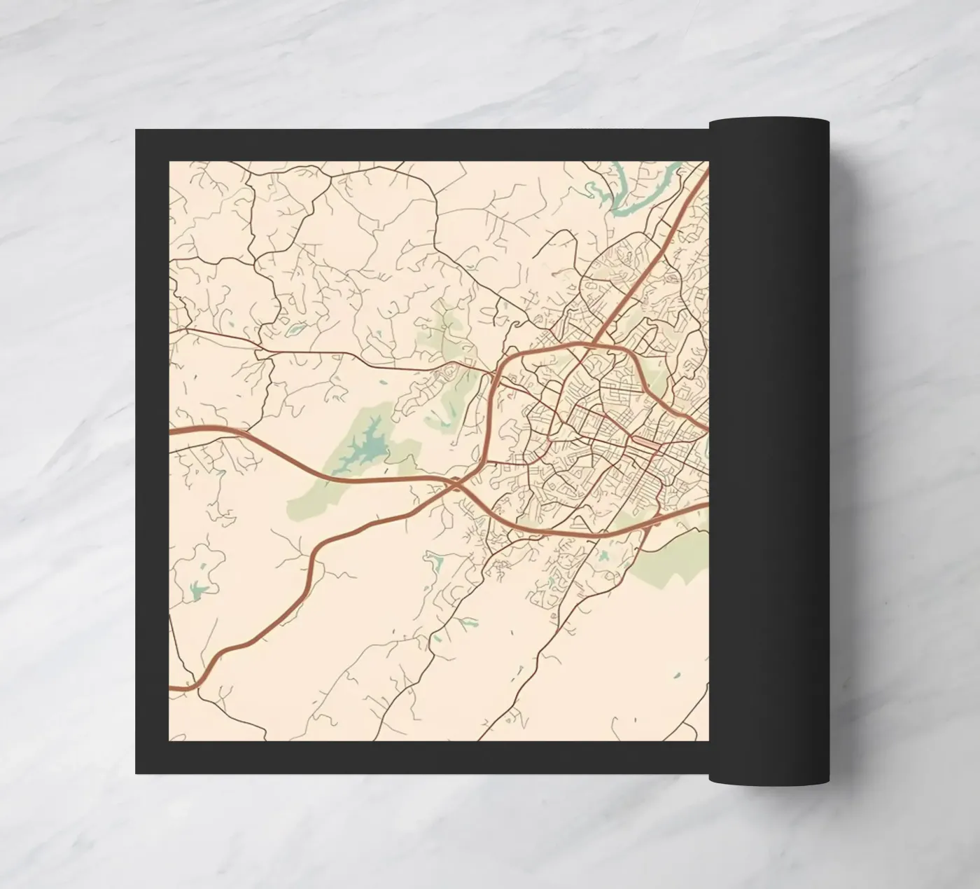 Charlottesville VA zerbino da Jacob W MICKELSON