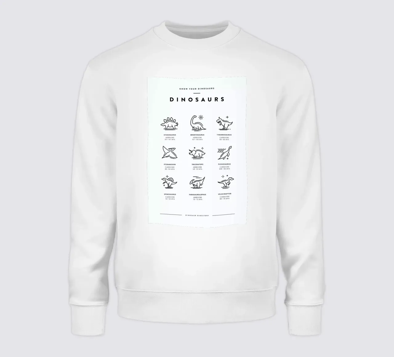 Dinosaurs chart sweatshirt by daylight design studio