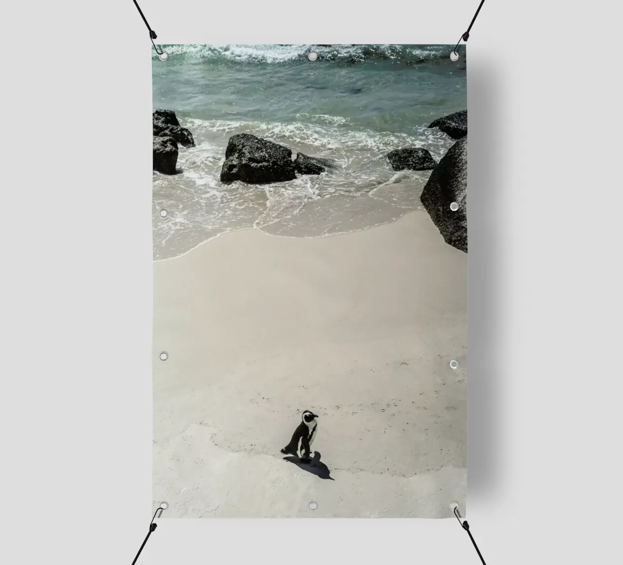 Solo Penguin telo in pvc da Shot By Clint