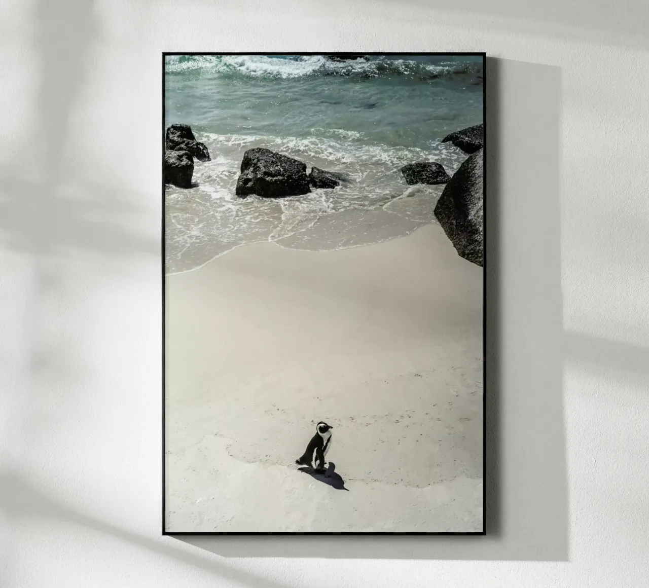 Solo Penguin product.type.acrylglas common.byCreator Shot By Clint