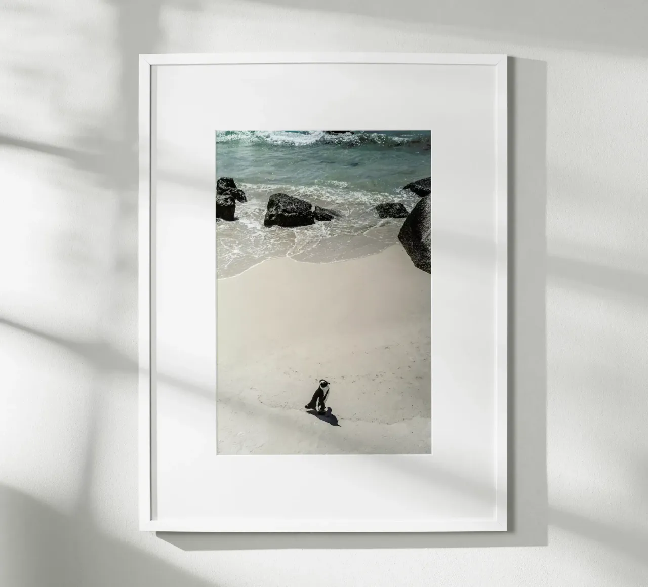 Solo Penguin poster con telaio in plastica da Shot By Clint
