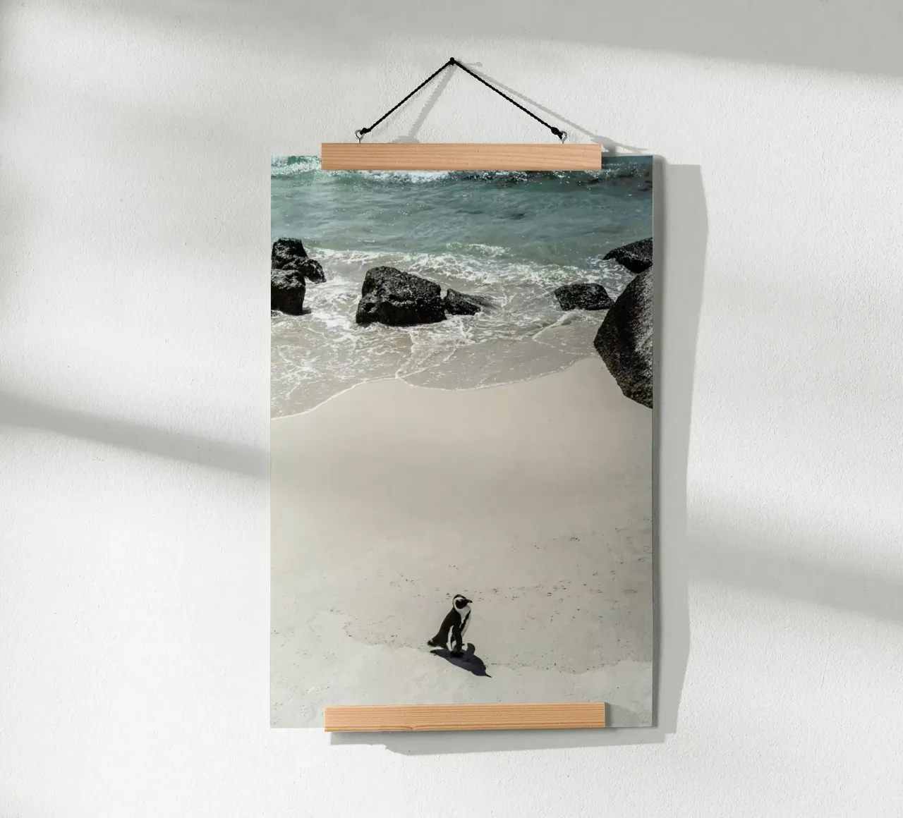 Solo Penguin poster con telaio in plastica da Shot By Clint