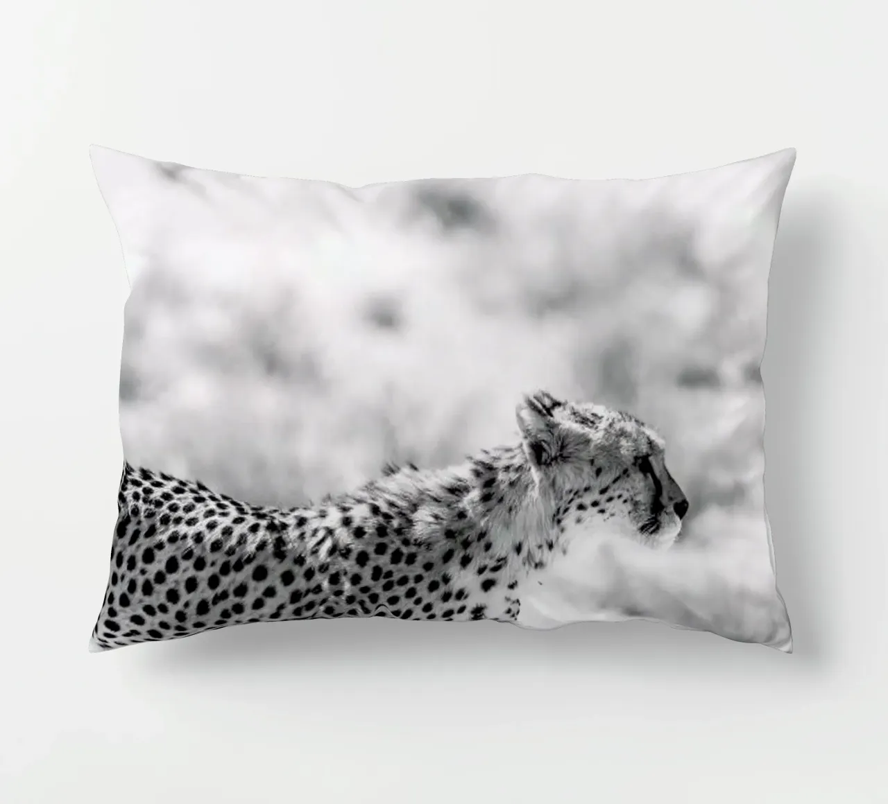 Safari Kat cuscino da Shot By Clint