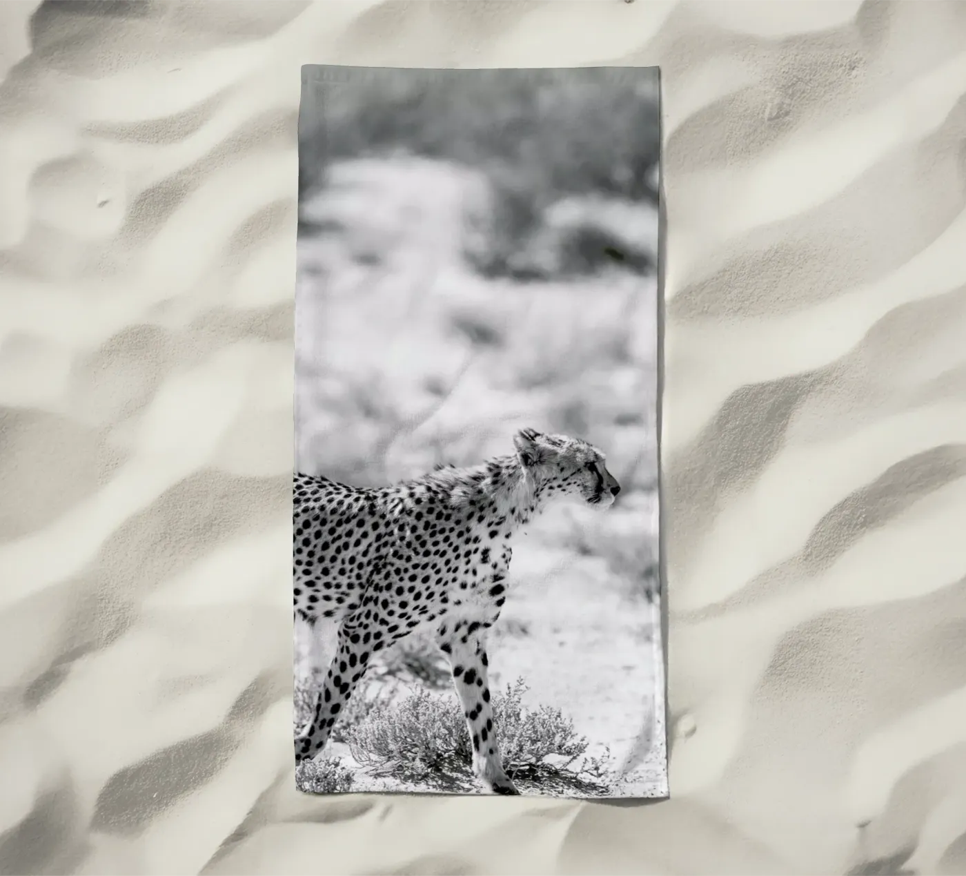 Safari Kat telo mare da Shot By Clint