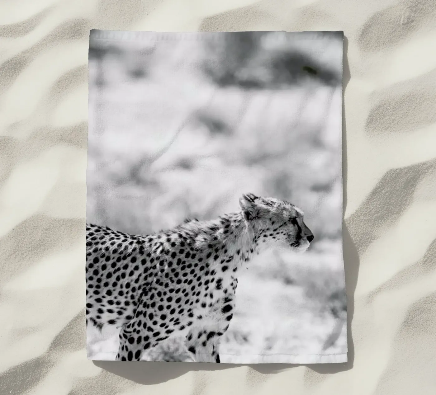 Safari Kat telo mare da Shot By Clint