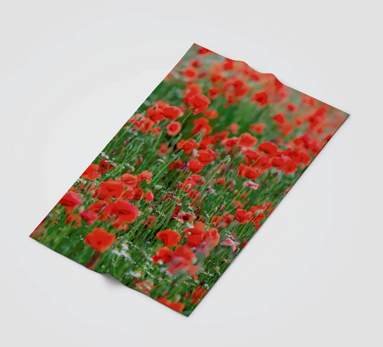 Poppy Field coperta in pile da Curious Collections by Marielle Leenders