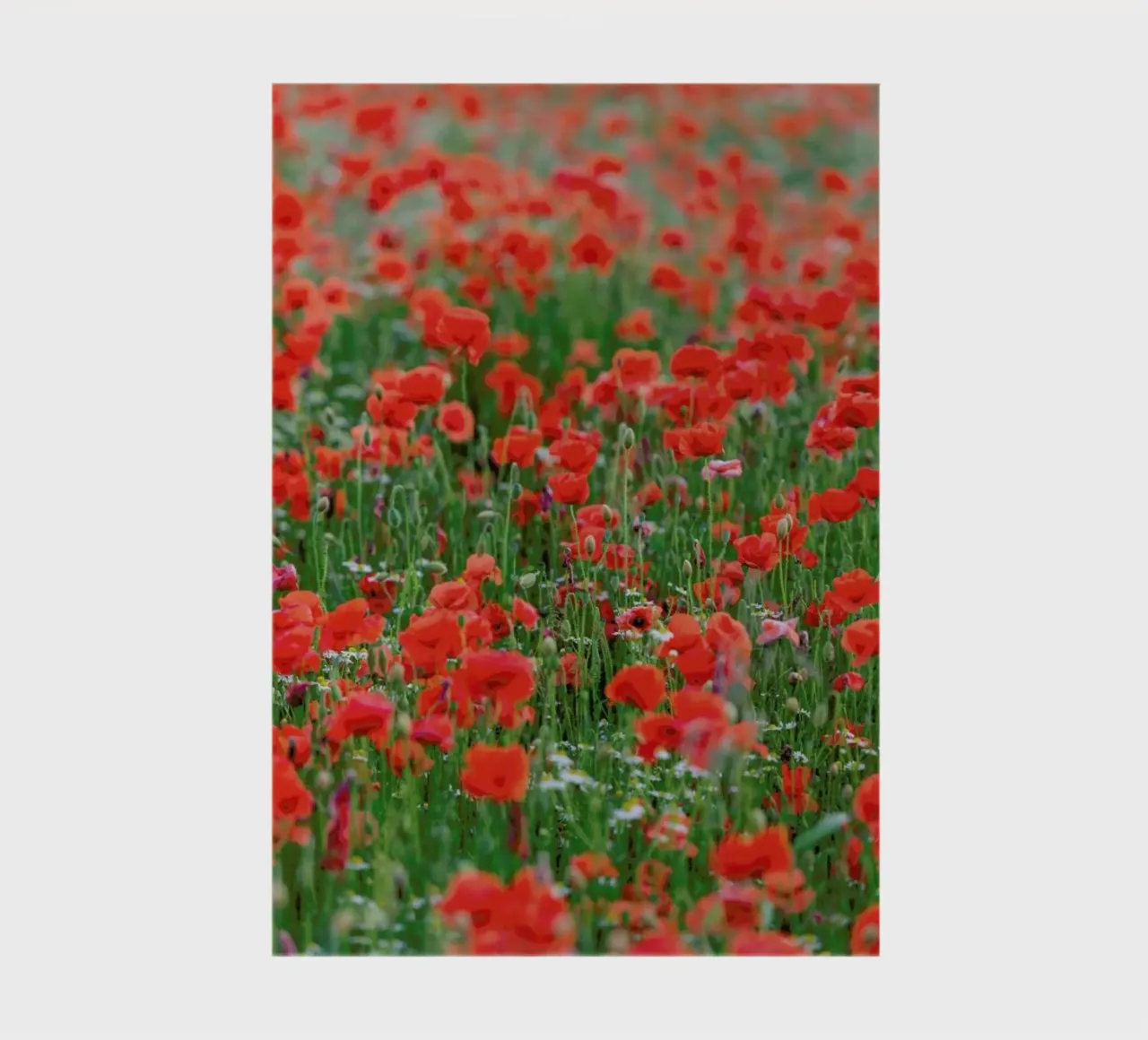 Poppy Field notebook by Curious Collections by Marielle Leenders