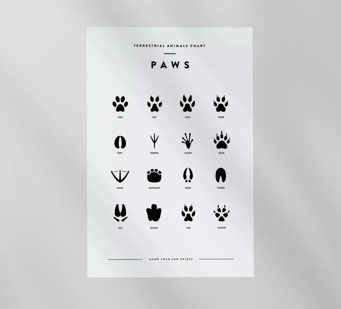 Paws chart pellicola backlit da daylight design studio