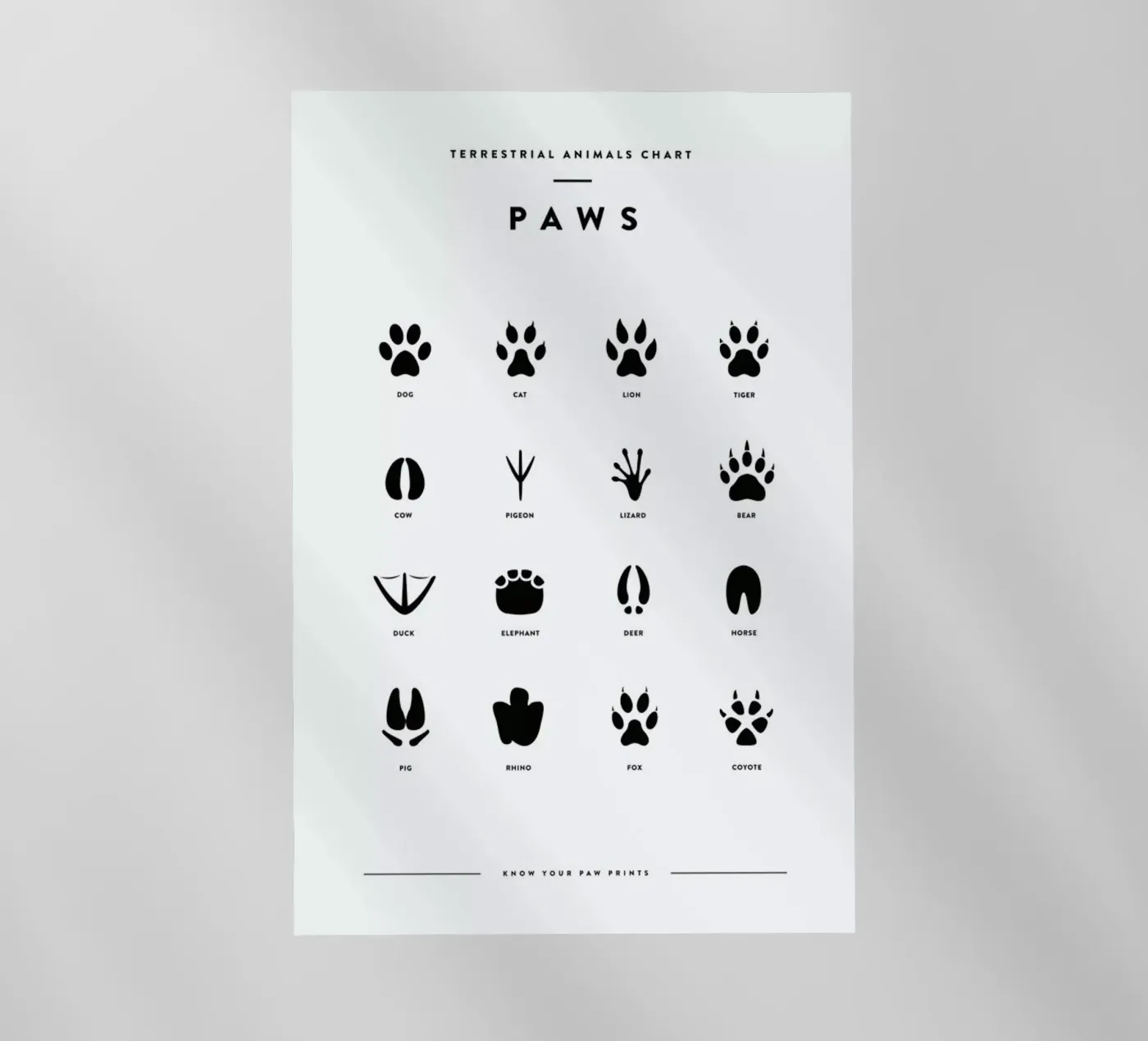 Paws chart backlit folie van daylight design studio