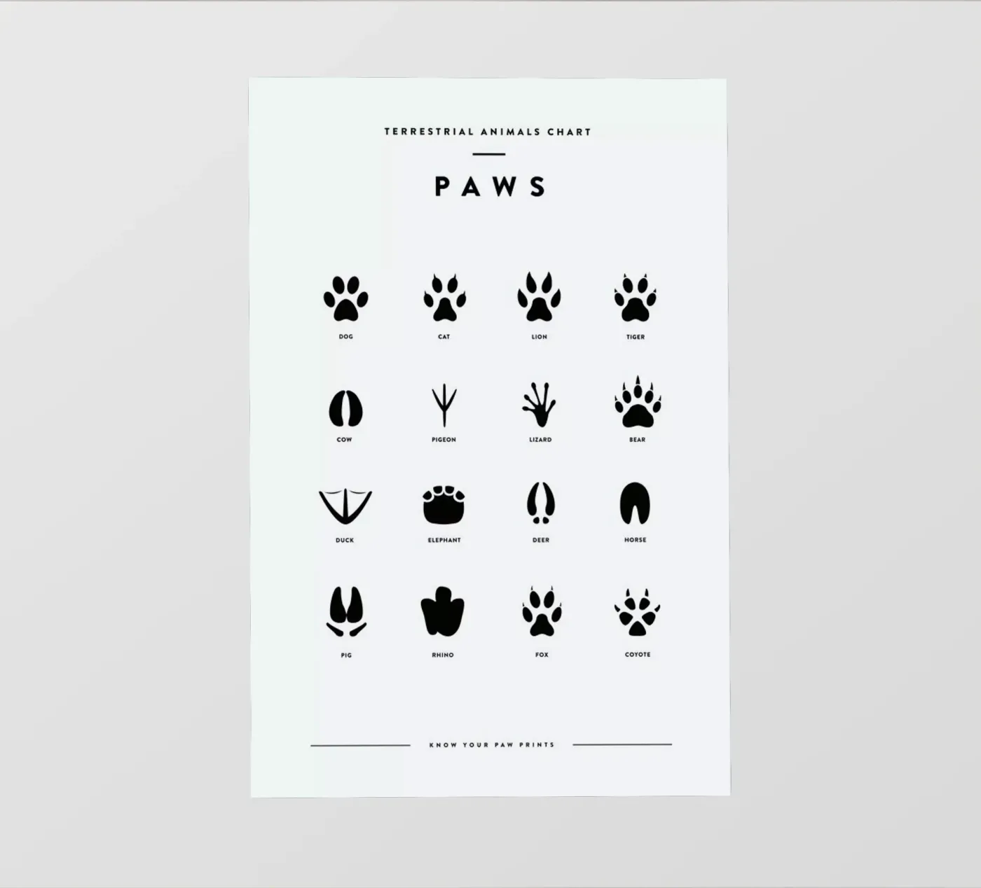 Paws chart pellicola backlit da daylight design studio
