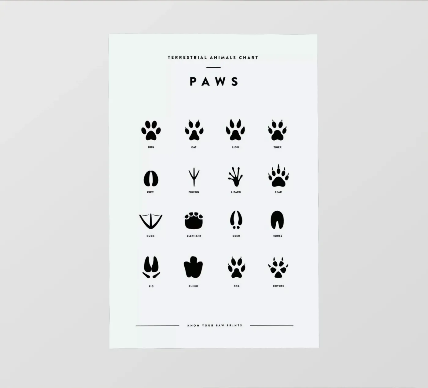 Paws chart backlit folie van daylight design studio
