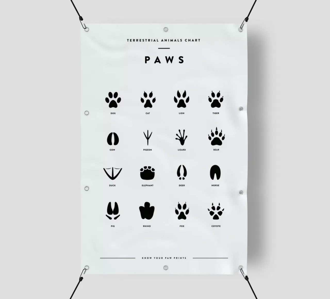 Paws chart telo in pvc da daylight design studio
