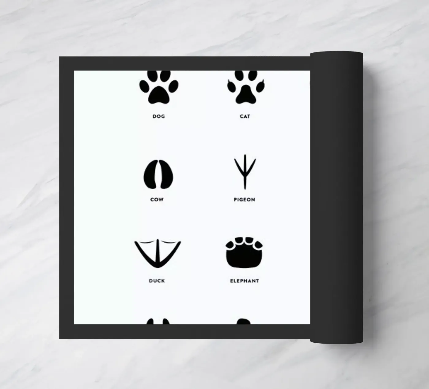 Paws chart Fußmatte von daylight design studio