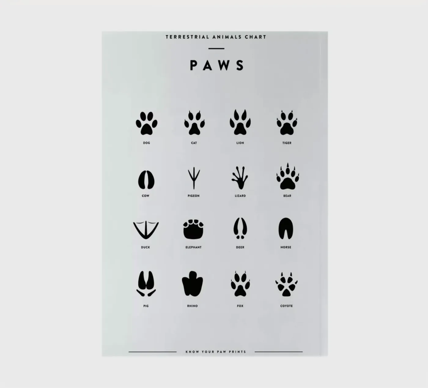 Paws chart notebook by daylight design studio