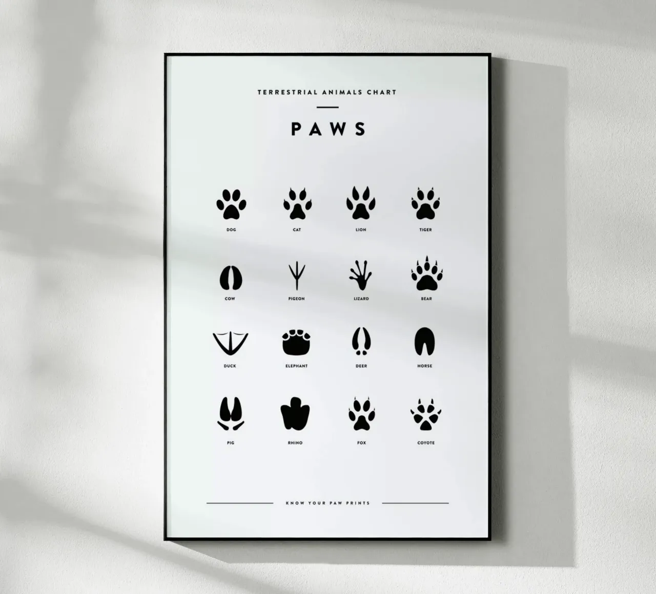 Paws chart plexiglass da daylight design studio
