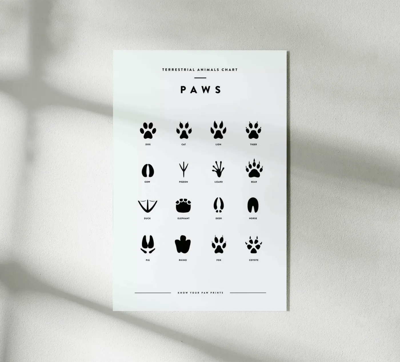 Paws chart Acryl-Glas von daylight design studio
