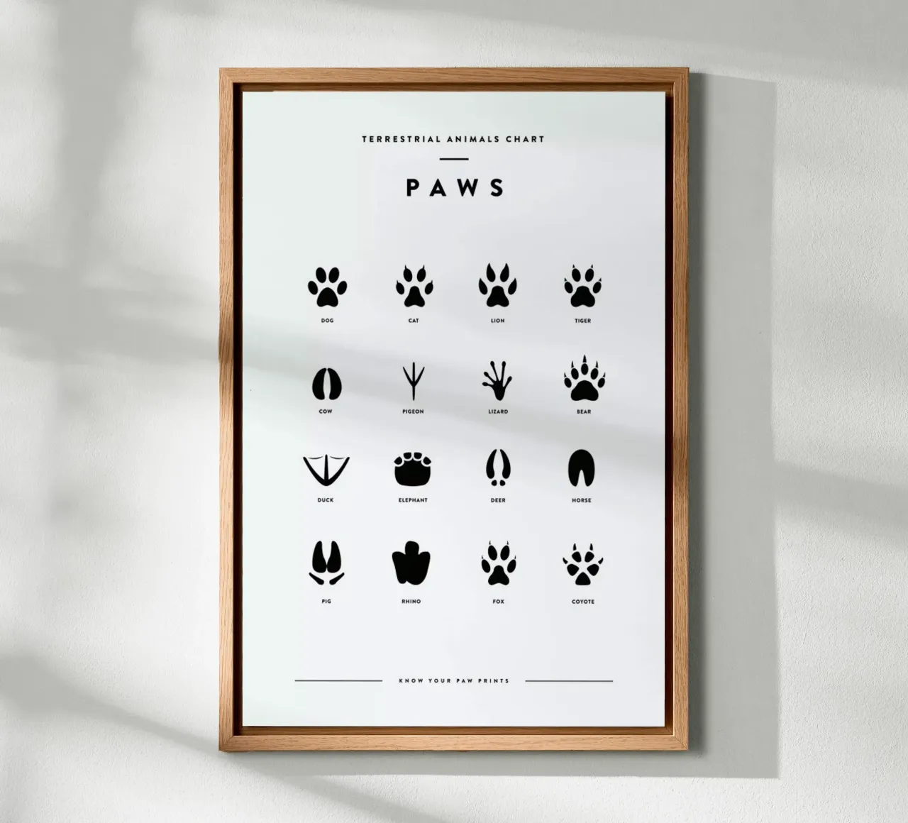 Paws chart alluminio dibond da daylight design studio
