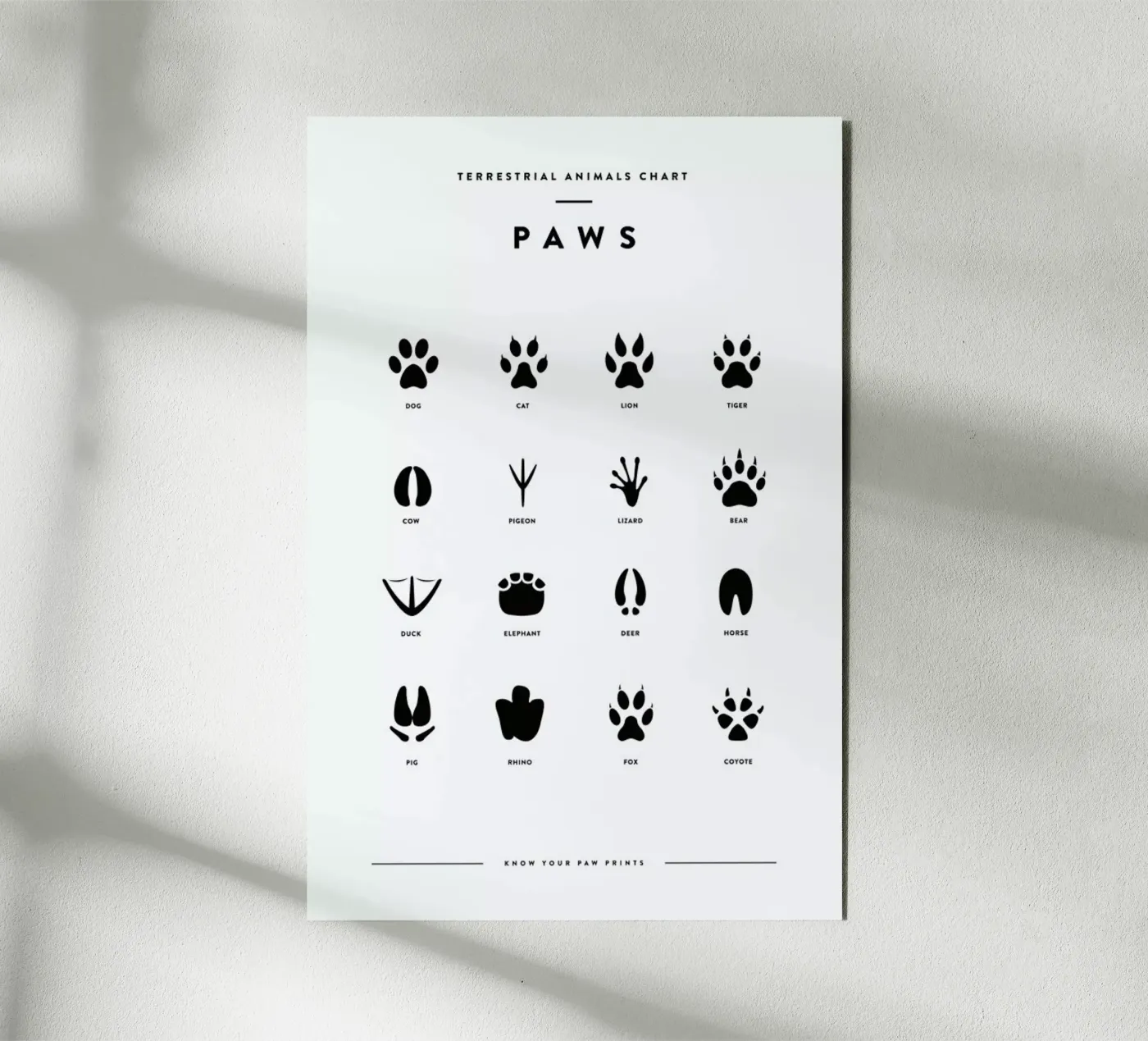 Paws chart forex plate by daylight design studio