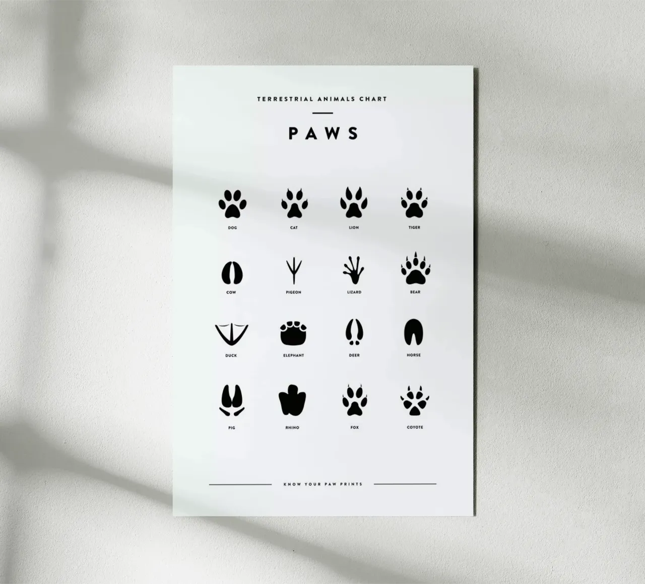 Paws chart forex plate by daylight design studio