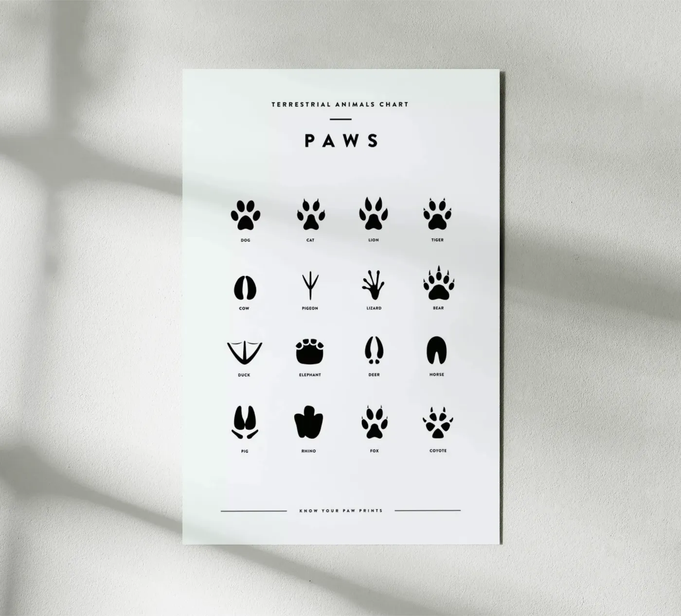 Paws chart pannello forex da daylight design studio
