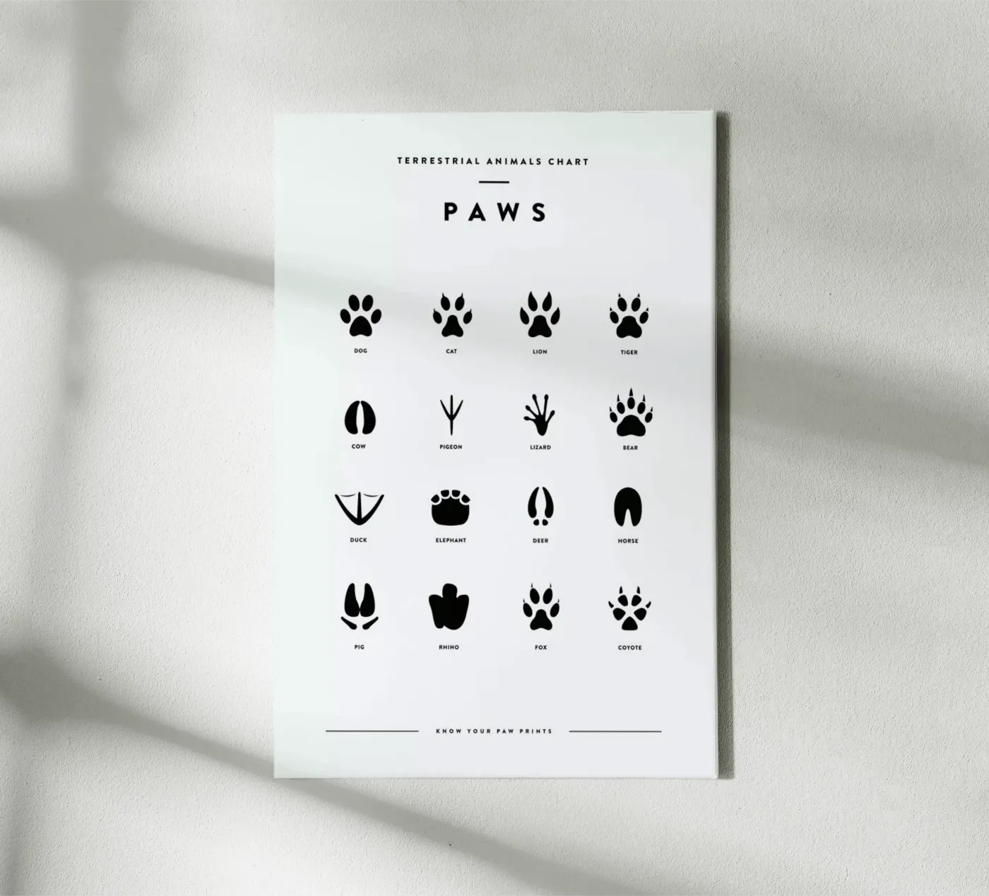 Paws chart canvas by daylight design studio