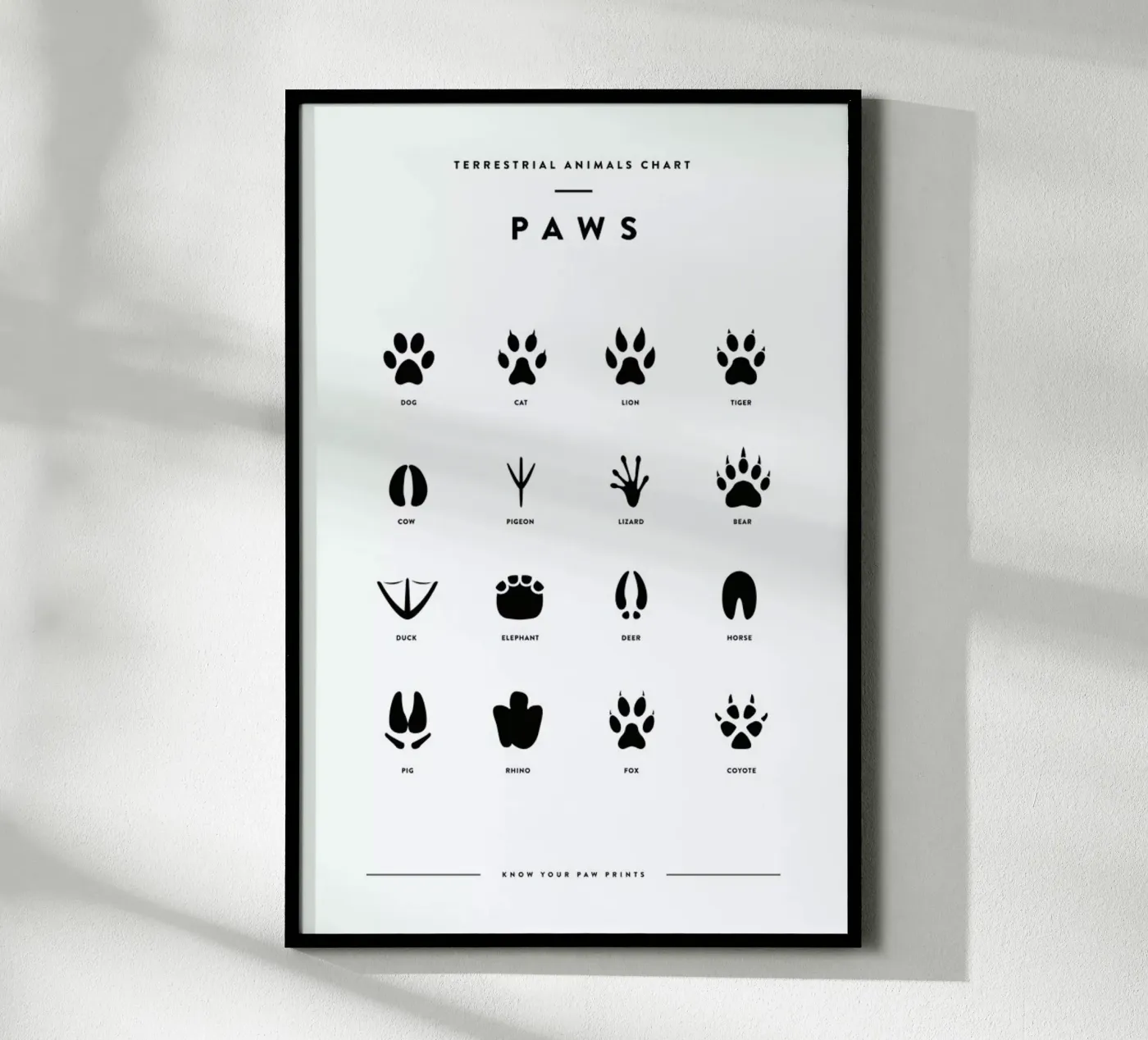 Paws chart poster van daylight design studio