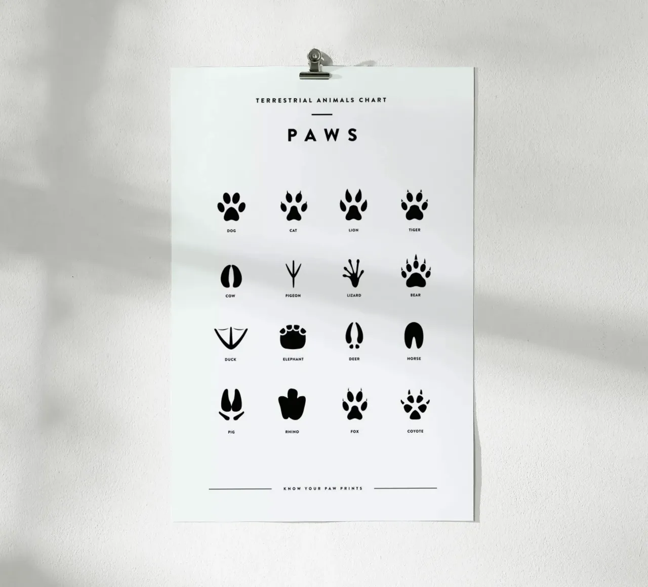 Paws chart poster da daylight design studio