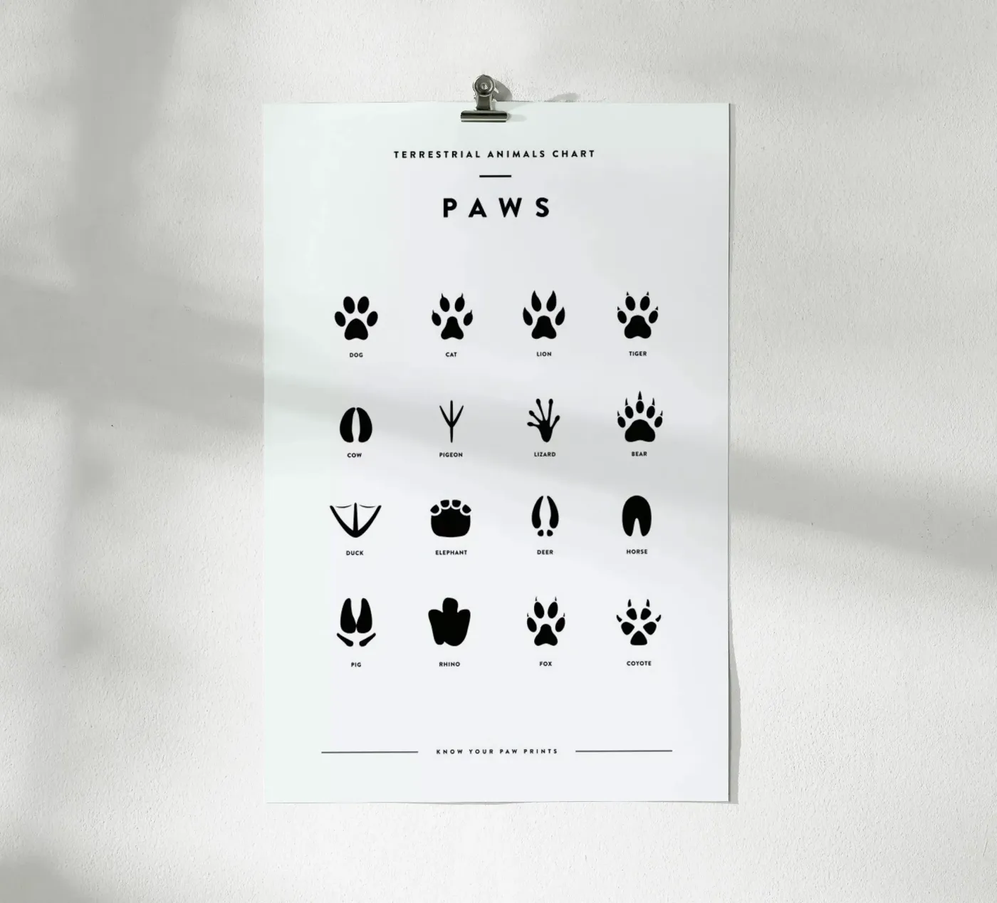 Paws chart poster van daylight design studio