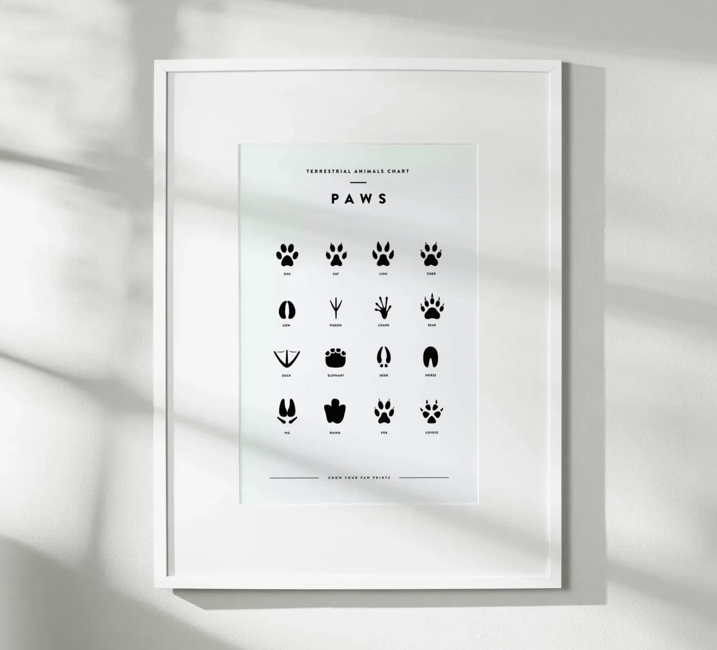 Paws chart poster da daylight design studio