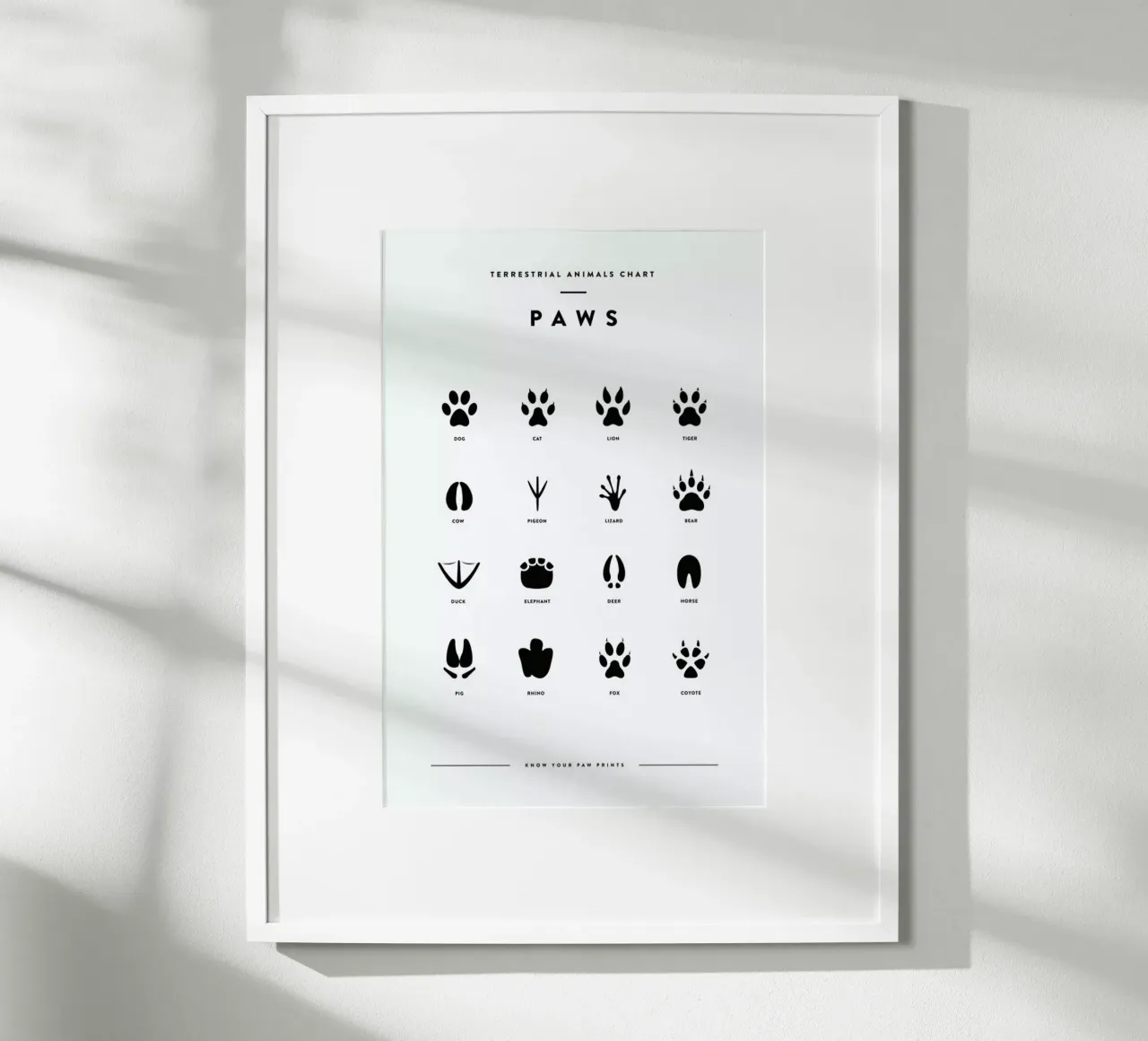 Paws chart poster da daylight design studio